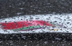 Η ενηλικίωση του ΣΥΡΙΖΑ